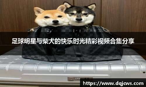 足球明星与柴犬的快乐时光精彩视频合集分享